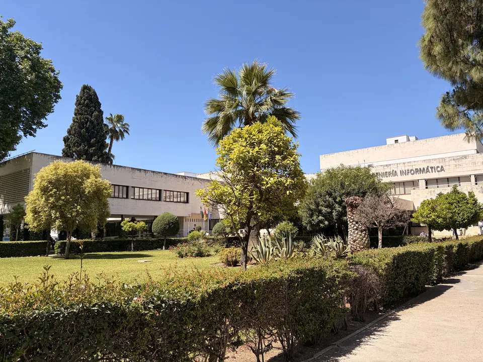 The School among palms on the Reina Mercedes campus