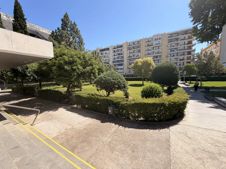 Lawns and shrubs in front of the School